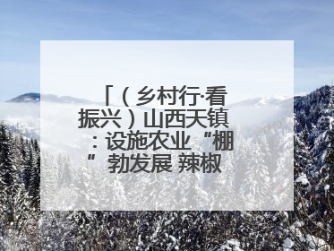 （乡村行·看振兴）山西天镇：设施农业“棚”勃发展 辣椒产业蓄势待发