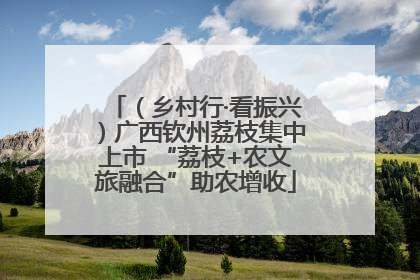 （乡村行·看振兴）广西钦州荔枝集中上市 “荔枝+农文旅融合”助农增收