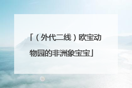 （外代二线）欧宝动物园的非洲象宝宝