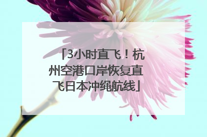 3小时直飞！杭州空港口岸恢复直飞日本冲绳航线