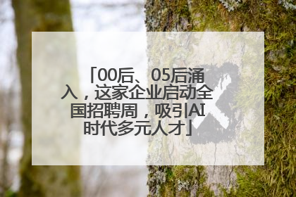 00后、05后涌入，这家企业启动全国招聘周，吸引AI时代多元人才