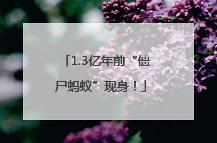1.3亿年前“僵尸蚂蚁”现身！