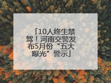 10人终生禁驾！河南交警发布5月份“五大曝光”警示