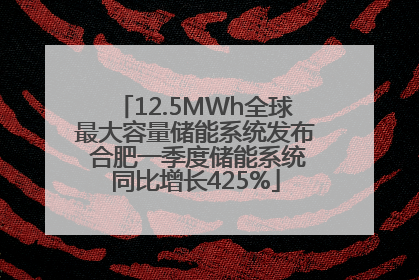 12.5MWh全球最大容量储能系统发布 合肥一季度储能系统同比增长425%