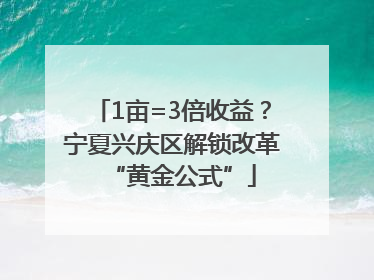 1亩=3倍收益？宁夏兴庆区解锁改革“黄金公式”