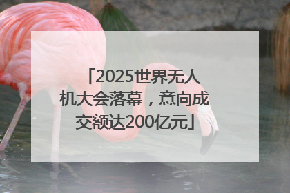 2025世界无人机大会落幕，意向成交额达200亿元