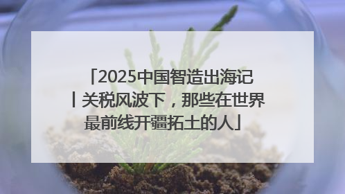 2025中国智造出海记丨关税风波下，那些在世界最前线开疆拓土的人