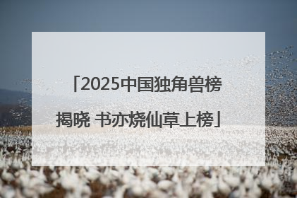 2025中国独角兽榜揭晓 书亦烧仙草上榜