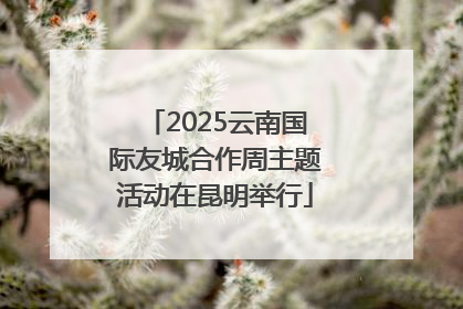 2025云南国际友城合作周主题活动在昆明举行