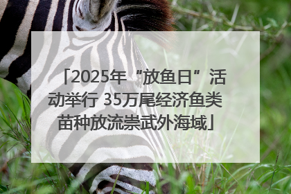 2025年“放鱼日”活动举行 35万尾经济鱼类苗种放流崇武外海域