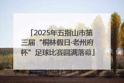 2025年五指山市第三届“桐林假日·老州府杯”足球比赛圆满落幕