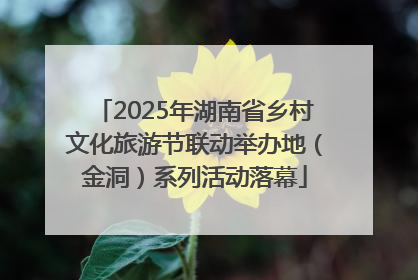 2025年湖南省乡村文化旅游节联动举办地（金洞）系列活动落幕