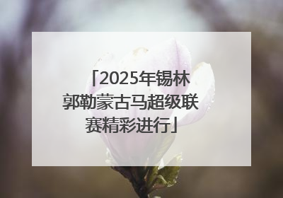 2025年锡林郭勒蒙古马超级联赛精彩进行