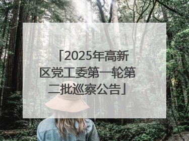 2025年高新区党工委第一轮第二批巡察公告