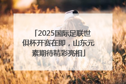 2025国际足联世俱杯开赛在即，山东元素期待精彩亮相