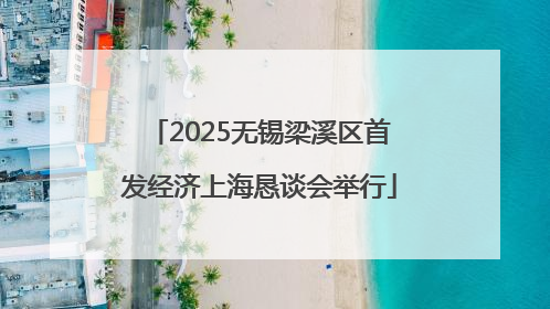 2025无锡梁溪区首发经济上海恳谈会举行