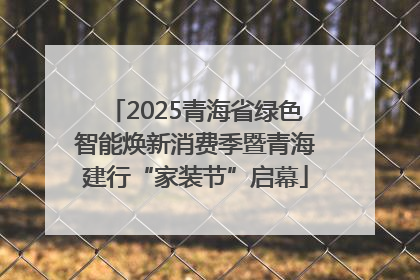 2025青海省绿色智能焕新消费季暨青海建行“家装节”启幕