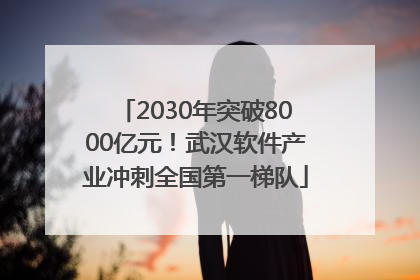 2030年突破8000亿元！武汉软件产业冲刺全国第一梯队