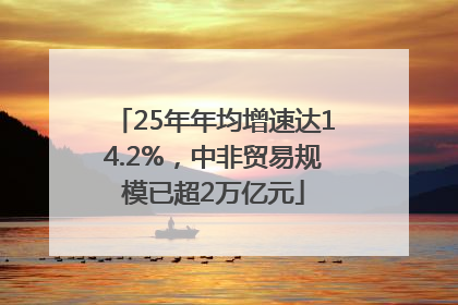 25年年均增速达14.2%，中非贸易规模已超2万亿元