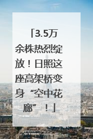 3.5万余株热烈绽放！日照这座高架桥变身“空中花廊”！