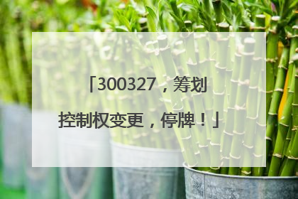 300327，筹划控制权变更，停牌！