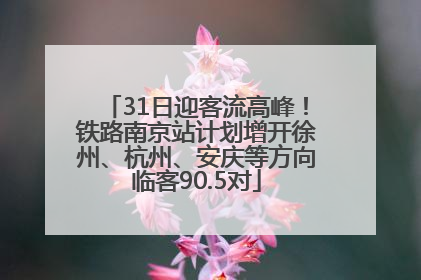 31日迎客流高峰！铁路南京站计划增开徐州、杭州、安庆等方向临客90.5对