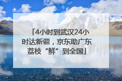 4小时到武汉24小时达新疆，京东助广东荔枝“鲜”到全国