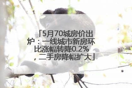 5月70城房价出炉：一线城市新房环比涨幅转降0.2%，二手房降幅扩大