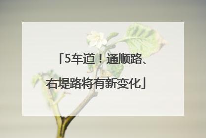 5车道！通顺路、右堤路将有新变化