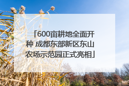 600亩耕地全面开种 成都东部新区东山农场示范园正式亮相