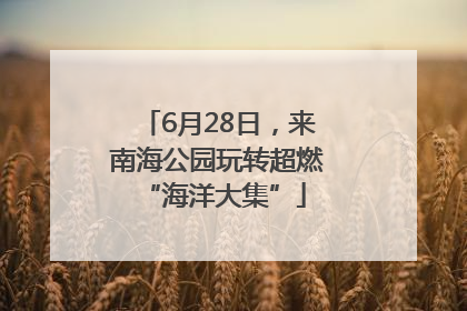 6月28日，来南海公园玩转超燃 “海洋大集”