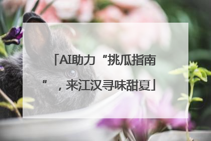 AI助力“挑瓜指南”，来江汉寻味甜夏