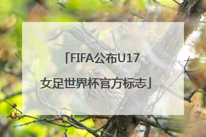 FIFA公布U17女足世界杯官方标志