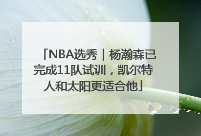 NBA选秀｜杨瀚森已完成11队试训，凯尔特人和太阳更适合他
